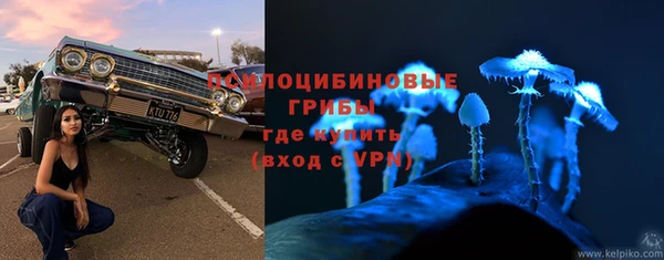 ALPHA-PVP Надым