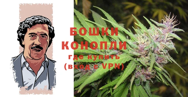 винт Нея