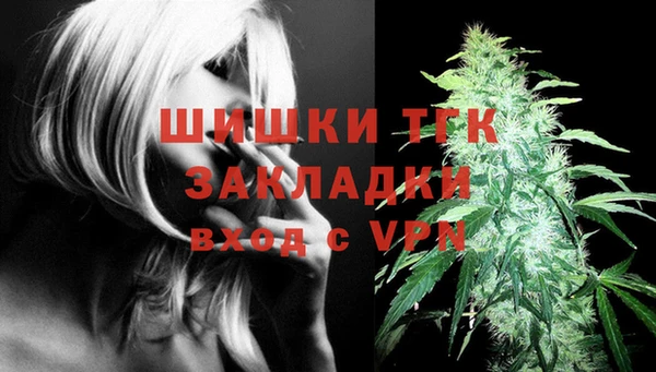 винт Нея