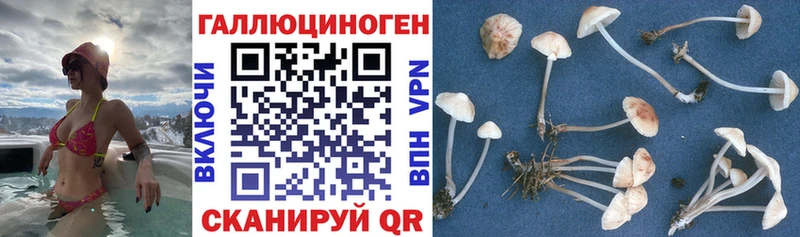 купить наркоту  MEGA сайт  Галлюциногенные грибы Psilocybe  Сосновка 